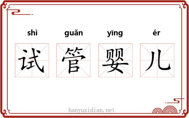 试管婴儿 试管婴儿