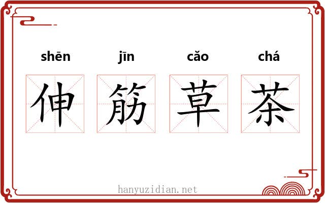 伸筋草茶