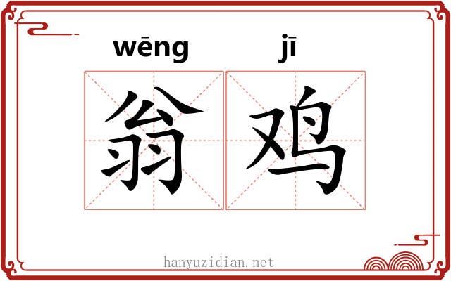 翁鸡