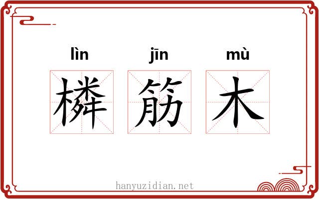 橉筋木