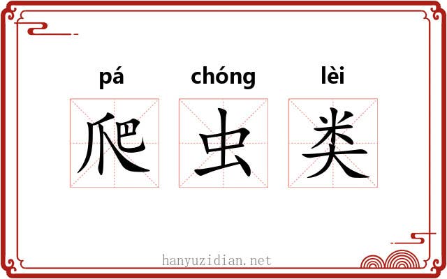 爬虫类