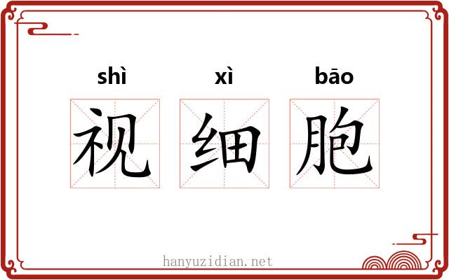视细胞 视细胞
