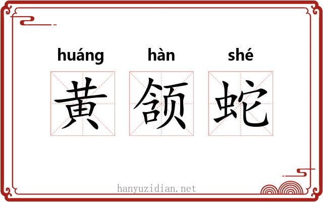 黄颔蛇 黄颔蛇