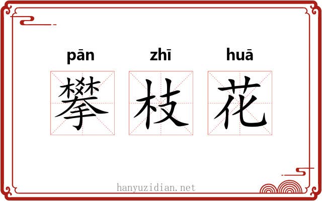 攀枝花