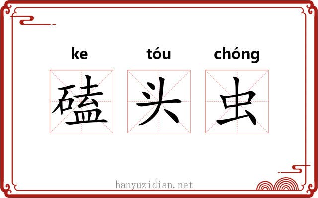磕头虫 磕头虫