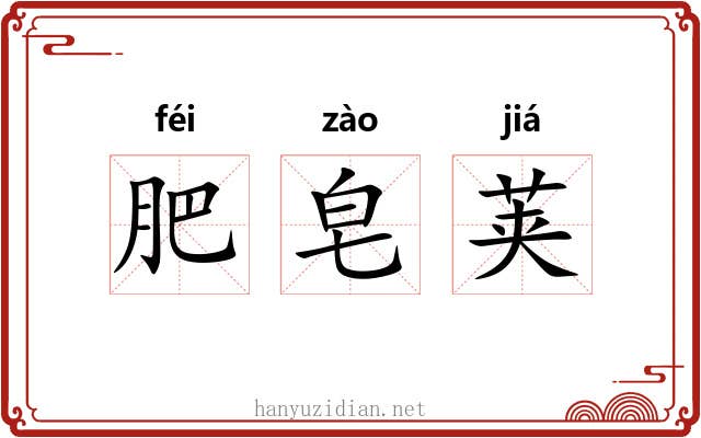 肥皂荚