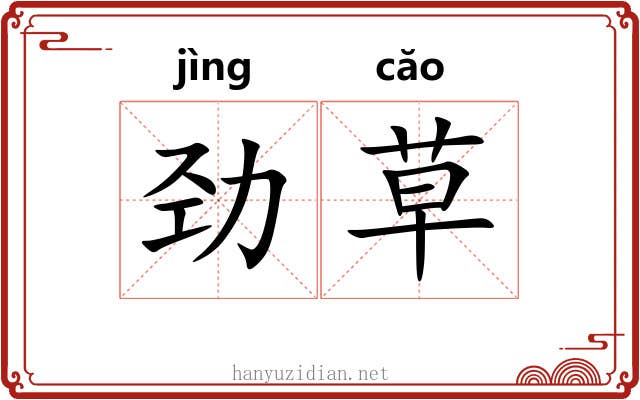 劲草 劲草
