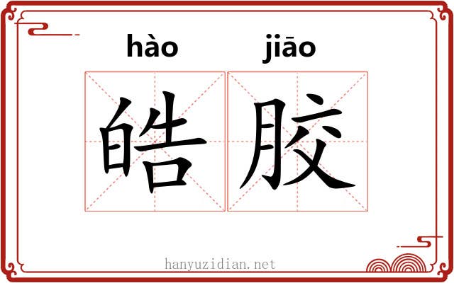 皓胶