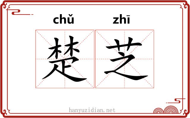 楚芝 楚芝