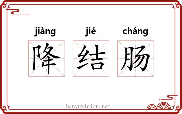 降结肠 降结肠