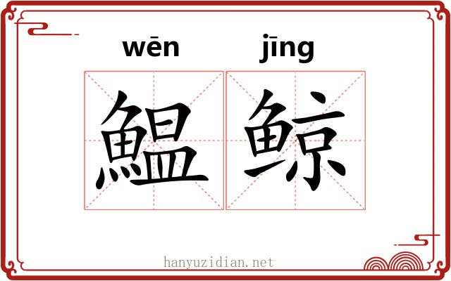 鰛鲸