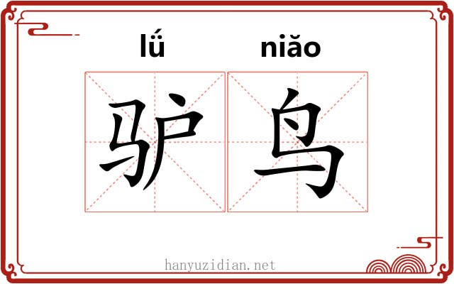 驴鸟