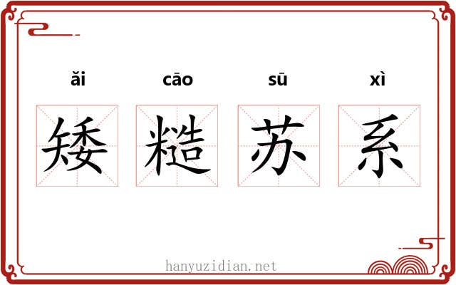 矮糙苏系