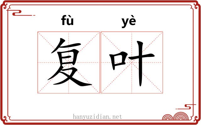 复叶 复叶