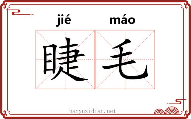 睫毛