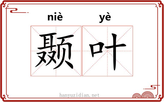 颞叶