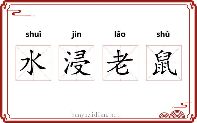 水浸老鼠