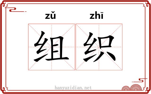 组织 组织