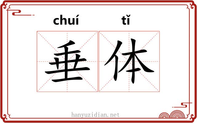 垂体