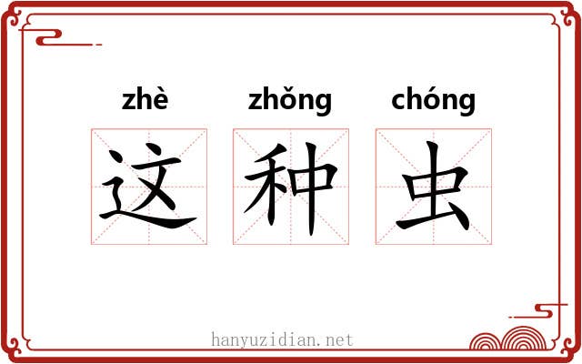 这种虫 这种虫
