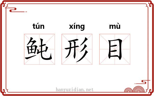 鲀形目