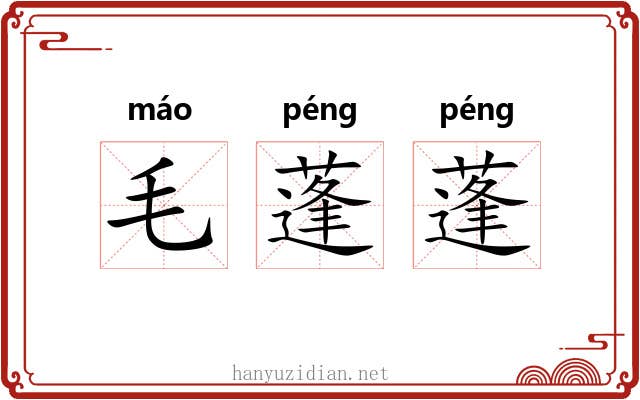 毛蓬蓬 毛蓬蓬