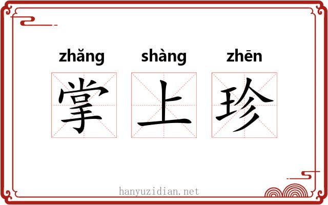 掌上珍