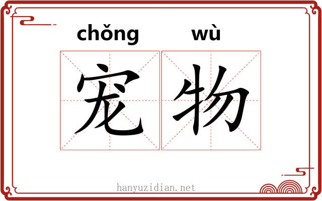 宠物