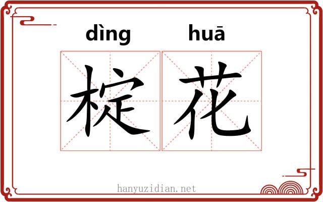 椗花 椗花