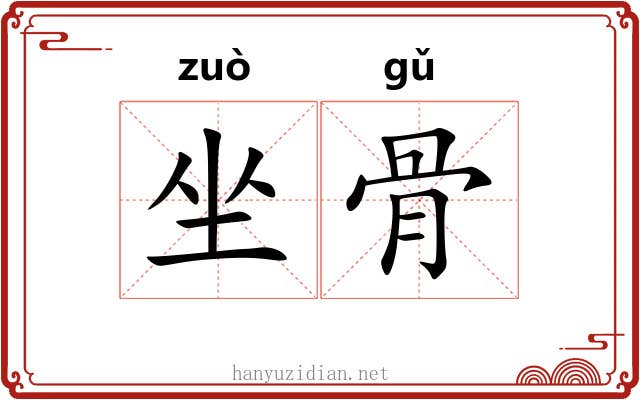 坐骨 坐骨
