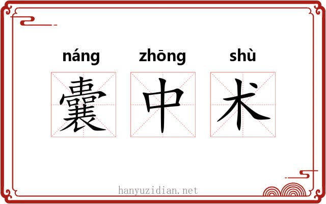 囊中术 囊中术