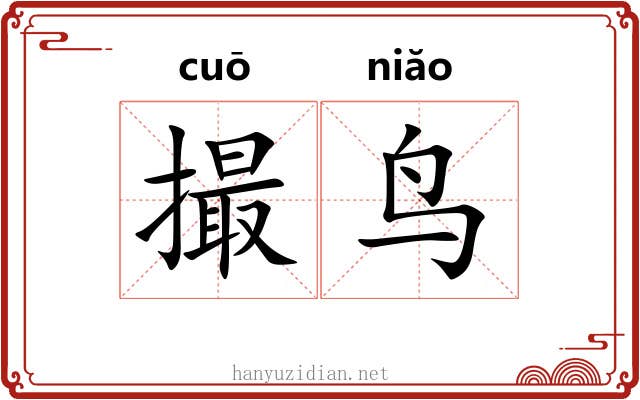 撮鸟