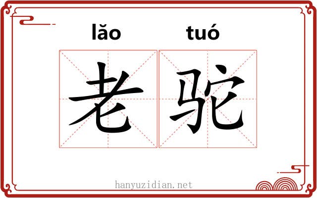 老驼