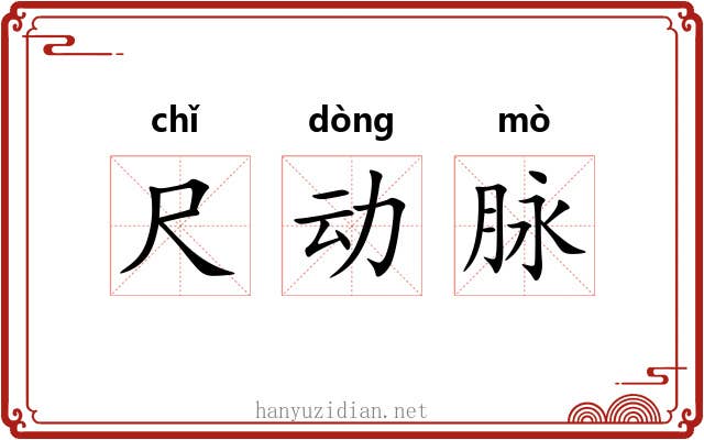 尺动脉