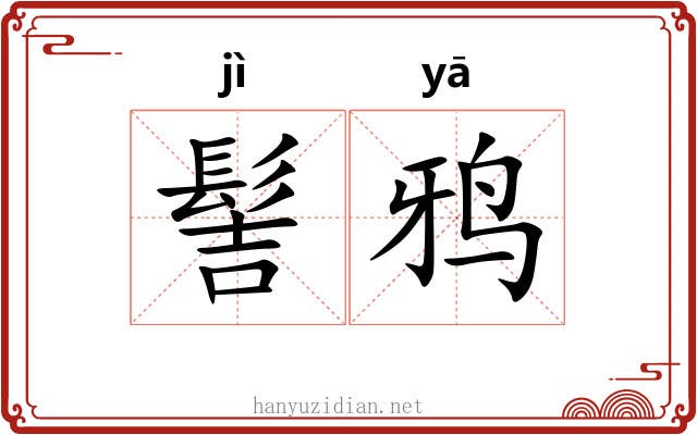 髻鸦