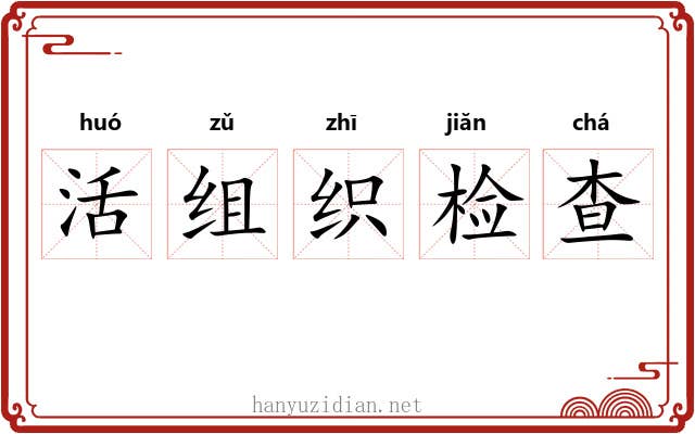 活组织检查 活组织检查
