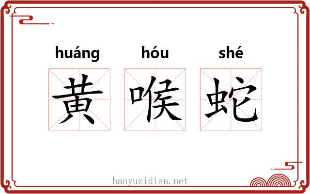 黄喉蛇 黄喉蛇