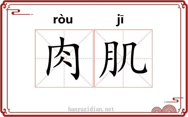 肉肌