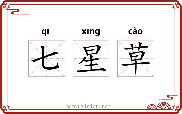七星草 七星草