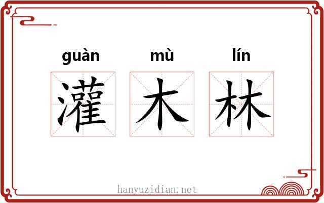 灌木林 灌木林