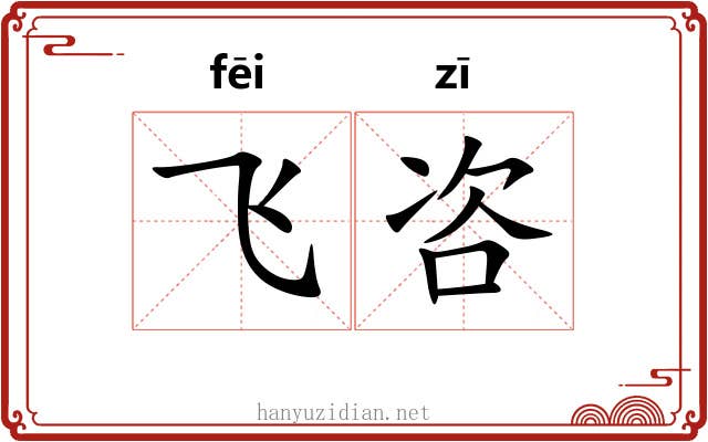 飞咨