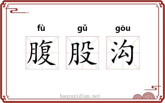 腹股沟 腹股沟