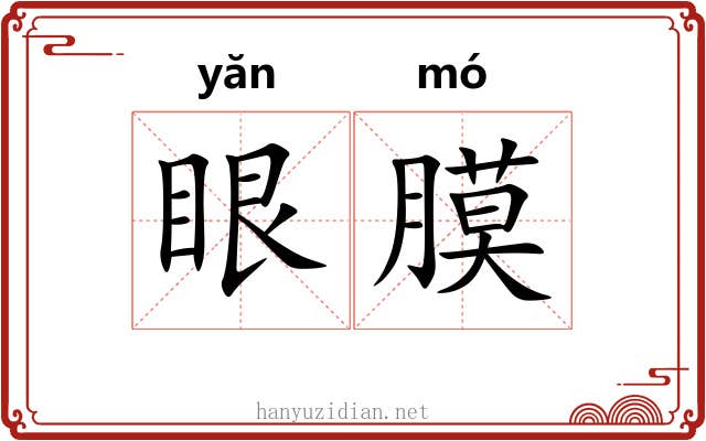 眼膜
