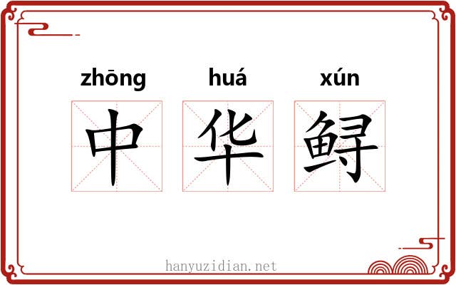 中华鲟 中华鲟