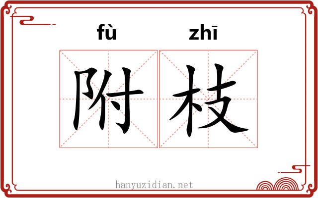 附枝