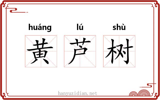 黄芦树 黄芦树