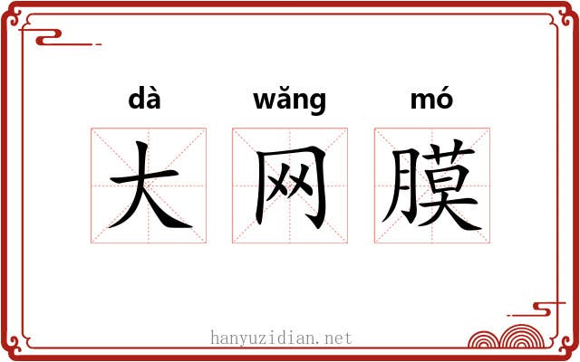 大网膜 大网膜