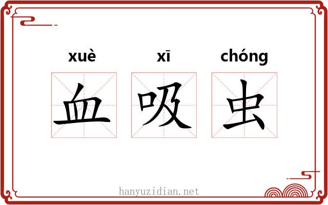 血吸虫 血吸虫