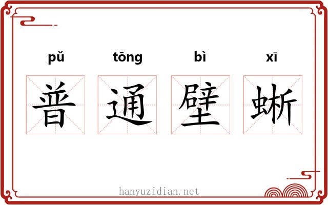 普通壁蜥 普通壁蜥