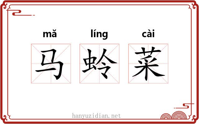 马蛉菜